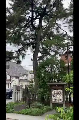 行田八幡神社(埼玉県)