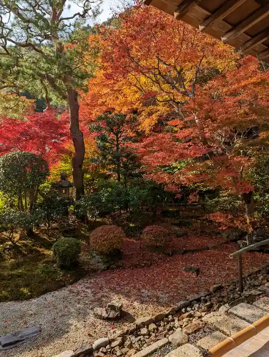 二尊院(京都府)