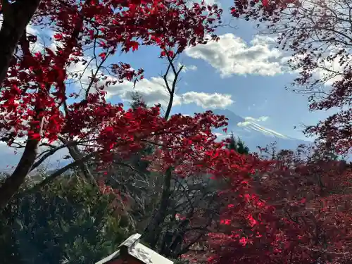 新倉富士浅間神社(山梨県)