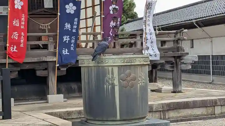 高岡関野神社の動物