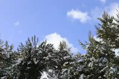 実光院(京都府)