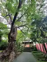 愛宕神社(福島県)