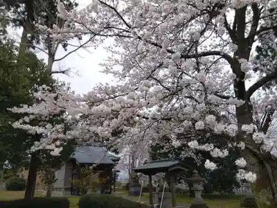 白山神社(福井県)