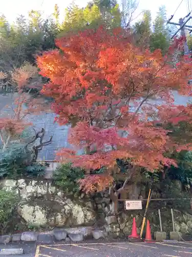 報国寺(神奈川県)