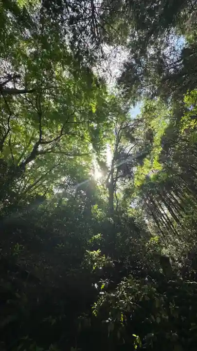 吉高菊一稲荷神社(東京都)