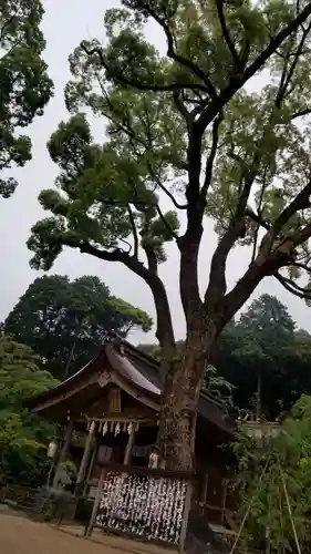 宝満宮竈門神社のその他建物