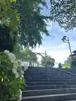 所澤神明社(埼玉県)