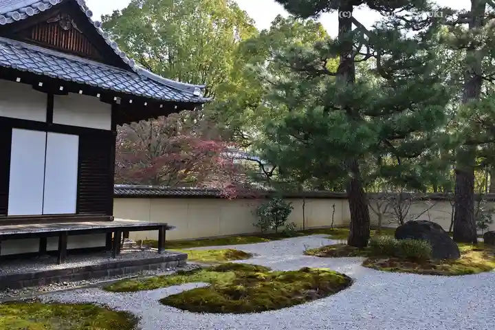 廬山寺(廬山天台講寺)(京都府)