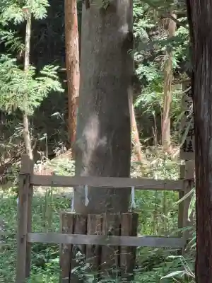 諏訪大社下社春宮(長野県)