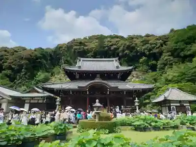 三室戸寺の本殿・本堂