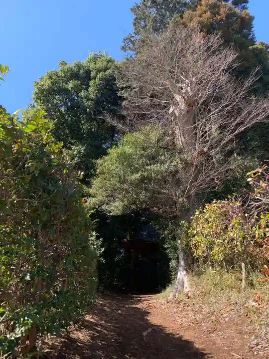 住吉神社(千葉県)