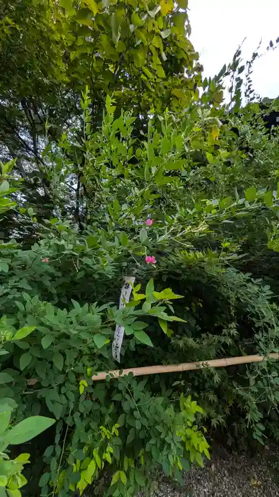梨木神社(京都府)