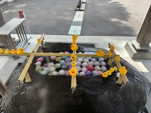 乃木神社の手水舎