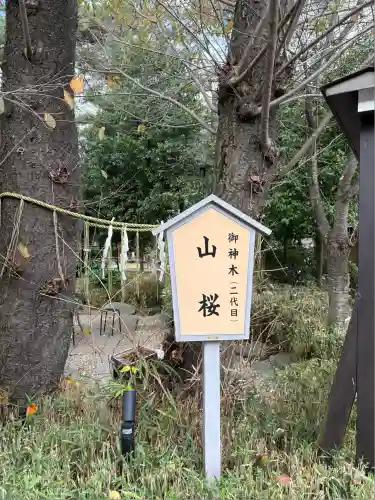 櫻木神社(千葉県)