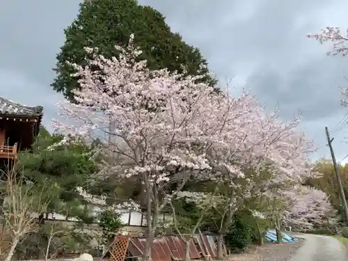 東光寺の庭園