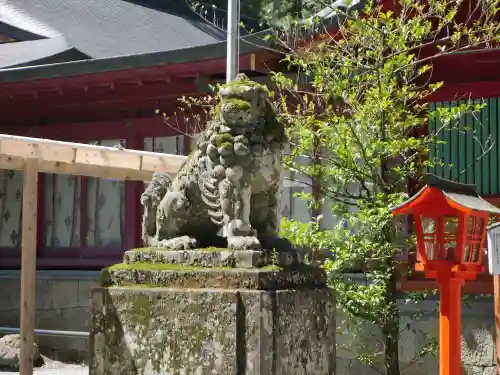 箱根神社の狛犬