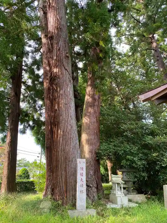 大戸神社の自然