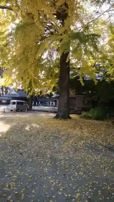 鹿嶋神社(福島県)