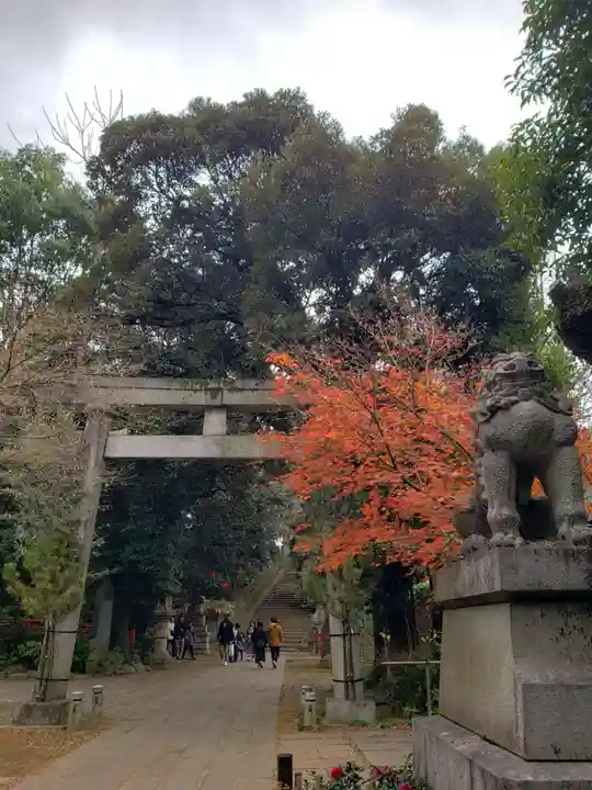 赤坂氷川神社(東京都)