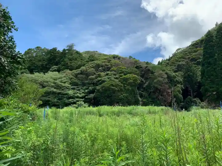 大山祇神社の自然