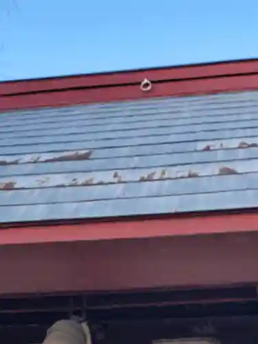 長良神社（邑楽町中野）(群馬県)