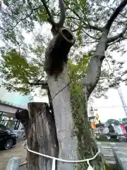 阿邪訶根神社(福島県)