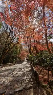 龍安寺(京都府)