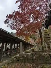 長谷寺(奈良県)