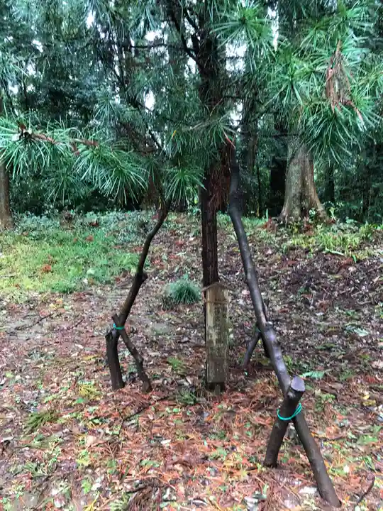 小被神社の自然