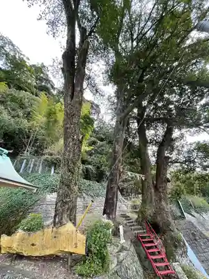 土肥神社(静岡県)