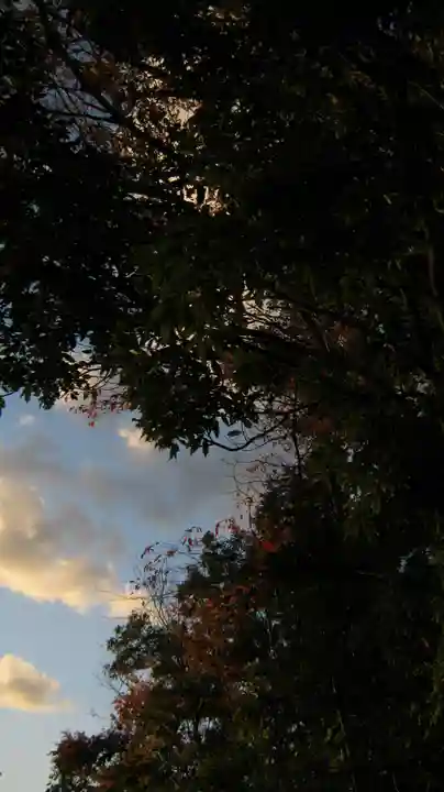 正八幡宮の自然