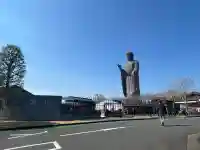 東本願寺本廟 牛久浄苑(牛久大仏)の{uncategorized: "未分類", other: "その他", undefined: "問題あり", building: "その他建物", grave: "お墓", sacred_gate: "鳥居", guardian: "狛犬", statue: "像", buddha: "仏像", history: "歴史", nature: "自然", garden: "庭園", animal: "動物", pagoda: "塔", temizu: "手水舎", mountain_gate: "山門・神門", sanctuary: "本殿・本堂", subordinate: "末社・摂社", art: "芸術", scenery: "景色", jizo: "地蔵", ema: "絵馬", goshuin: "御朱印", omikuji: "おみくじ", items: "授与品その他", amulet: "お守り", goshuincho: "御朱印帳", eats: "食事", festival: "お祭り", votive_dance: "神楽", shichigosan: "七五三参", wedding: "結婚式", experience: "体験その他", initially: "初詣", around: "周辺", anti_infection: "感染症対策"}
