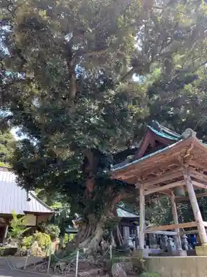 宝善寺(千葉県)