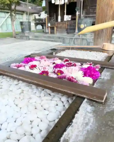 根岸八幡神社の手水舎
