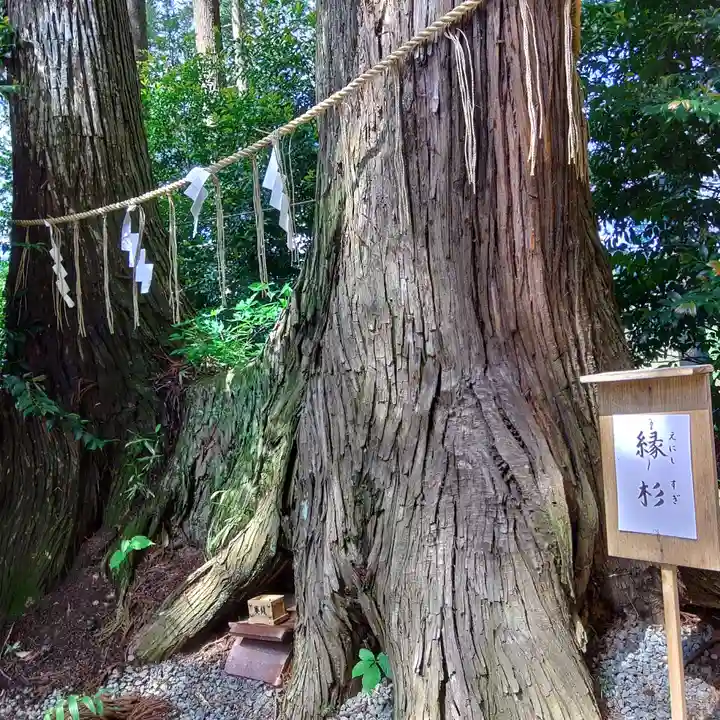 坪沼八幡神社(宮城県)