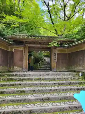 光明寺瑠璃光院(京都府)