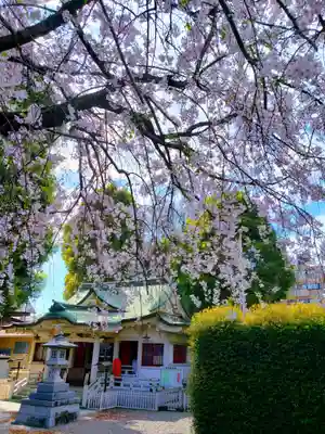 荻窪白山神社(東京都)