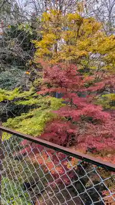 服部神社(京都府)