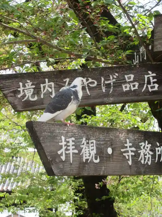 喜多院のその他建物