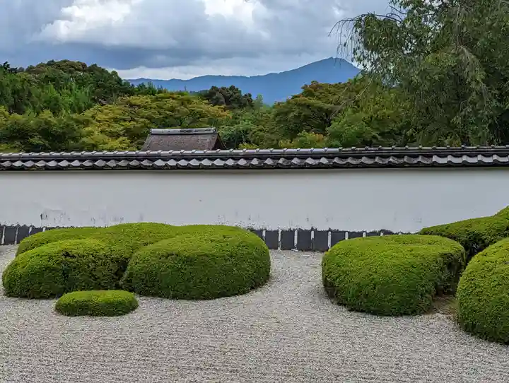 正伝護国禅寺(正伝寺・正傳寺)(京都府)