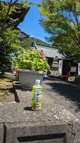 國分八幡宮(香川県)