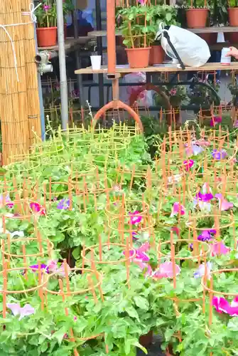 真源寺（入谷鬼子母神）(東京都)