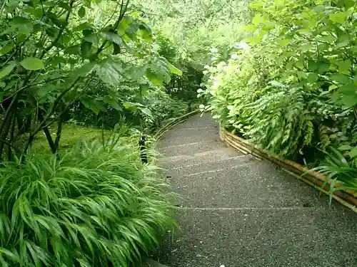 明月院の庭園