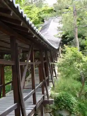 高台寺（高台寿聖禅寺・高臺寺）(京都府)