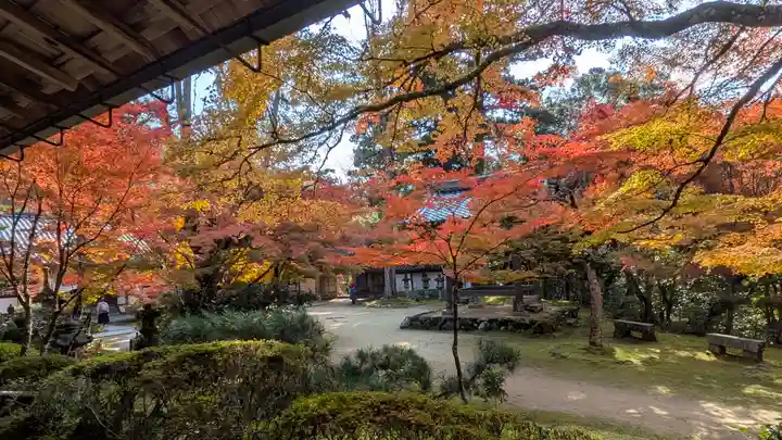 西明寺(京都府)