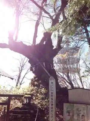熊野皇大神社のその他建物