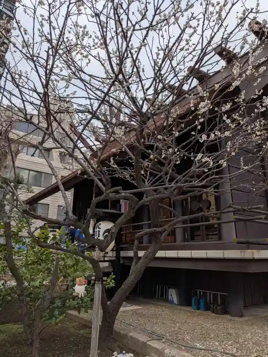 高円寺氷川神社(東京都)