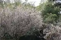 三渡神社の自然