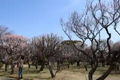 防府天満宮(山口県)