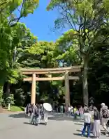 明治神宮(東京都)